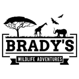 Safari Adventures Logo