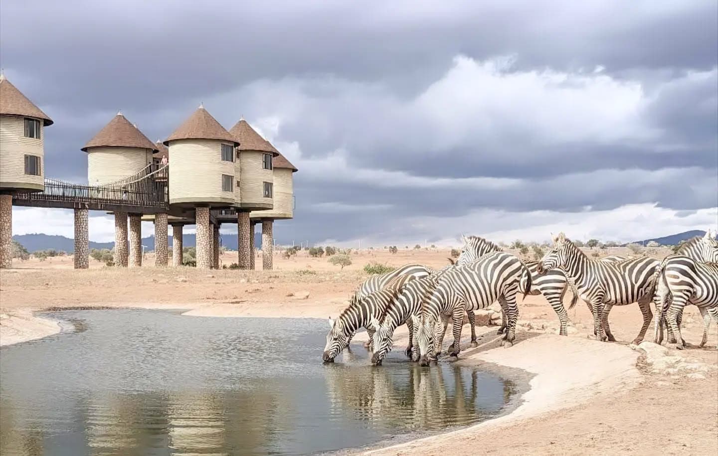 Masai Mara safari with Amboseli