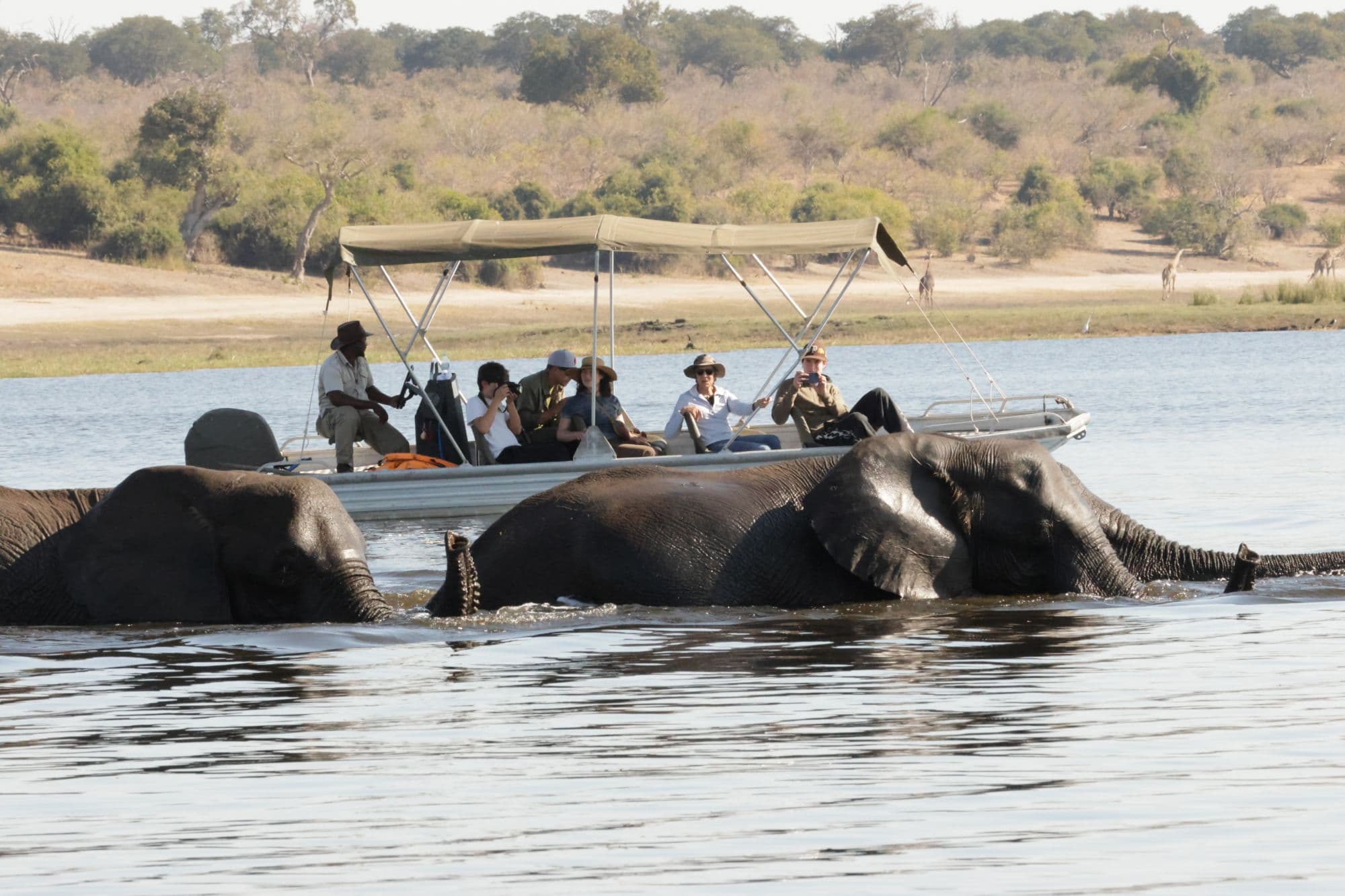 11-Day Zimbabwe & Botswana Wildlife Adventure