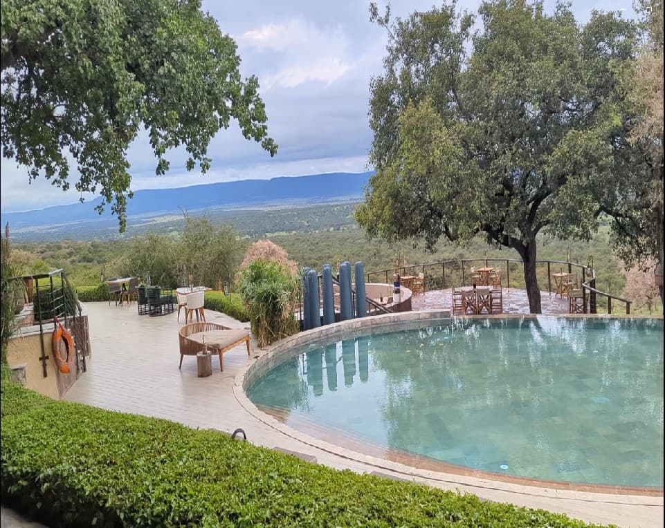 Luxury Tanzania Safari Packages: Discover the Wilderness in Style
