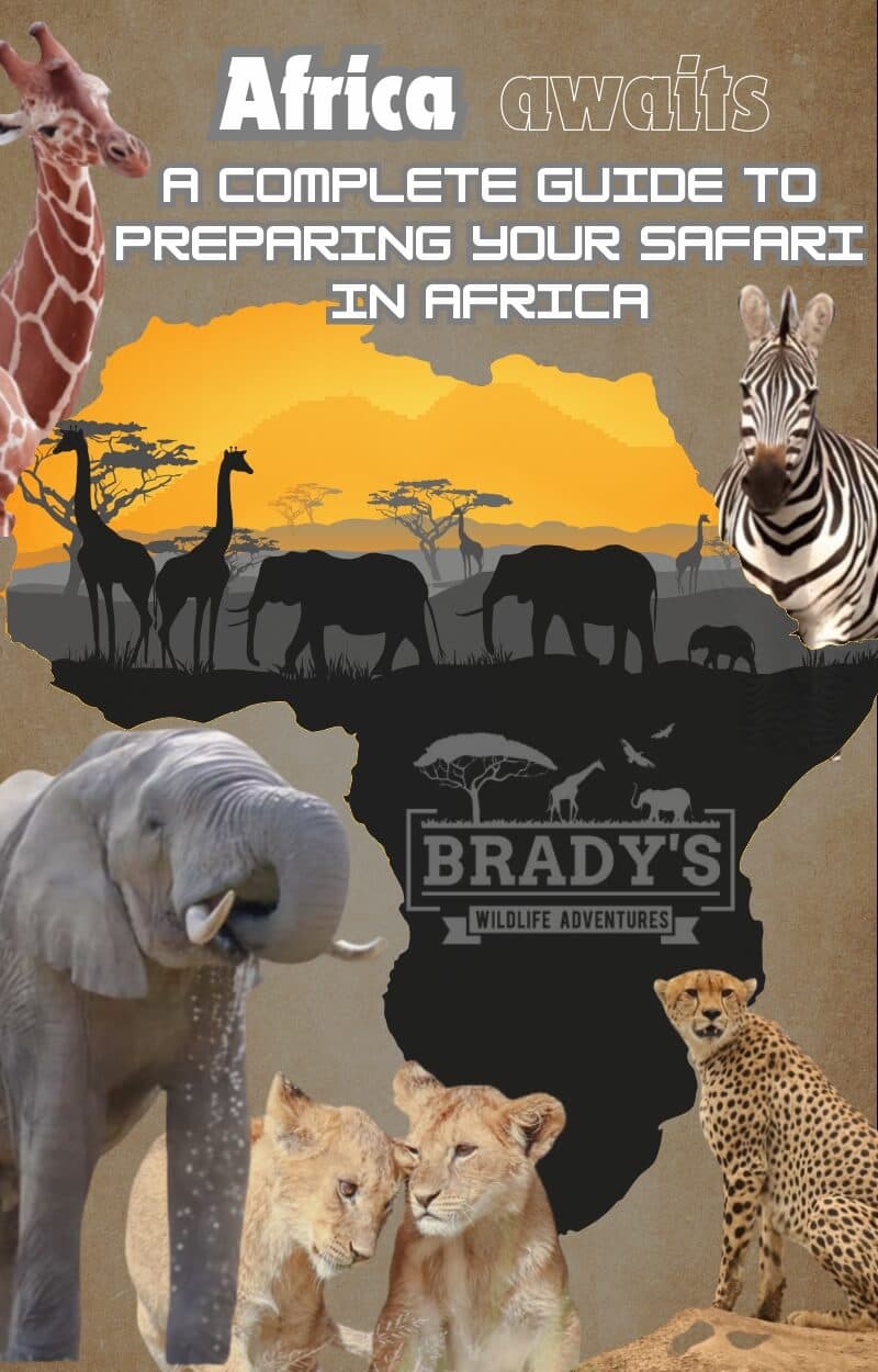 Africa Awaits - Free Safari Guide