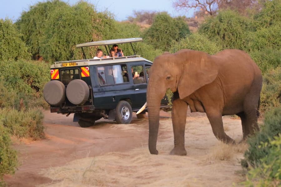 Kenya Safari Tours: Explore Africa’s Best Wildlife Destinations
